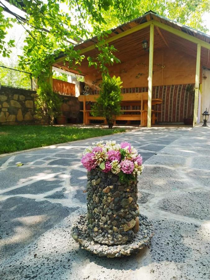 Guest House Nataly Jegegnadzor Kültér fotó